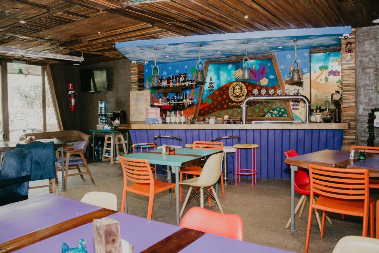 Mamallacta Paramo Lodge Papallacta Εξωτερικό φωτογραφία