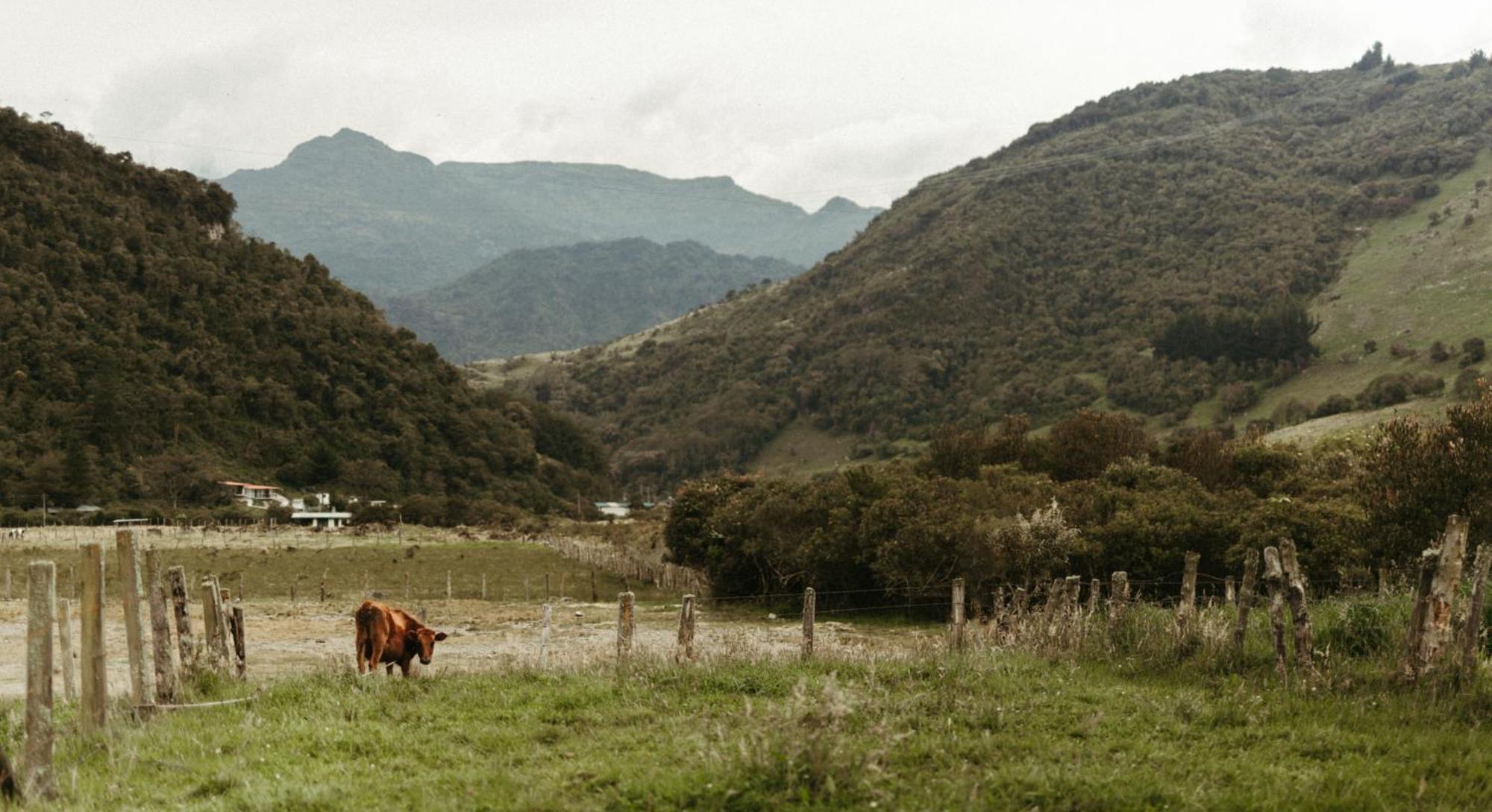 Mamallacta Paramo Lodge Papallacta Εξωτερικό φωτογραφία